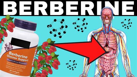 best way to take berberine